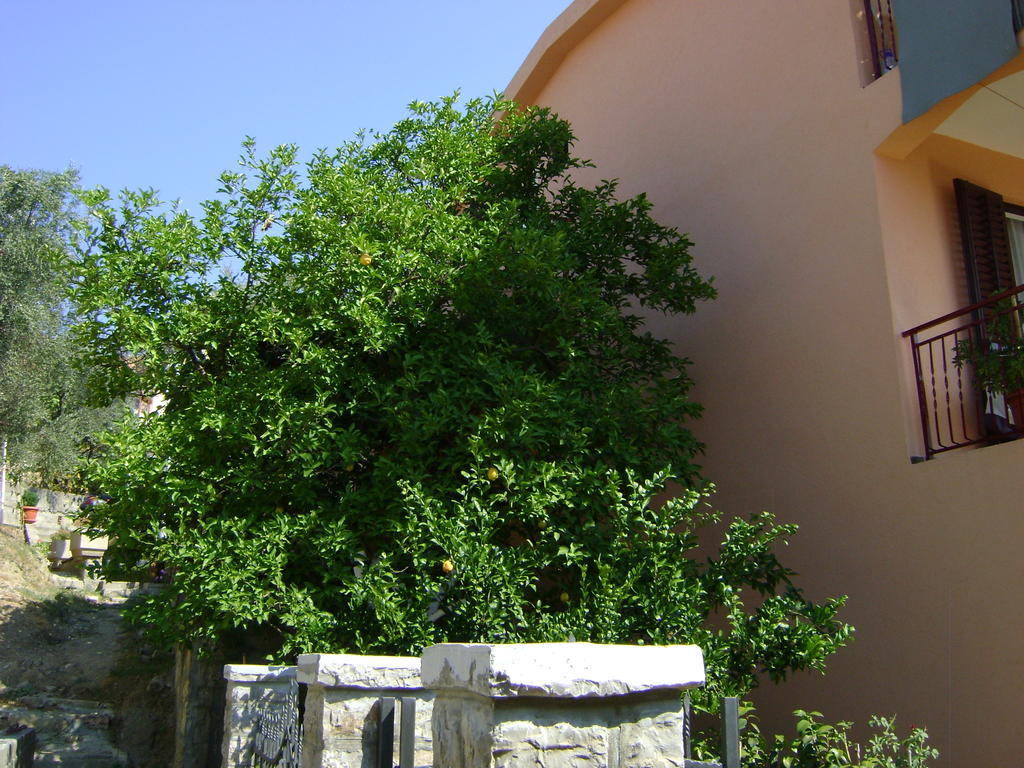 Apartments Kovacevic Petrovac Buitenkant foto